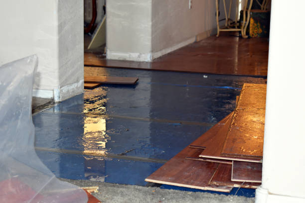 Professional Basement Flood Cleanup technician working in Metamora, OH